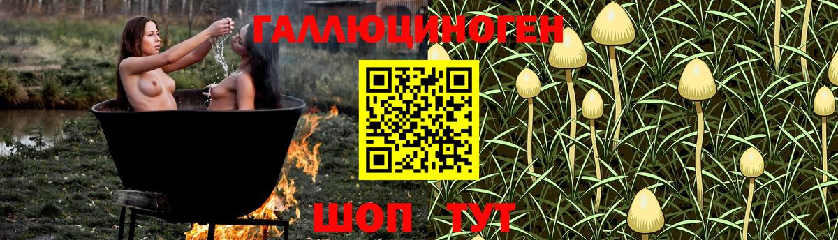 Псилоцибиновые грибы прущие грибы  купить наркоту  Кирово-Чепецк  Псилоцибиновые грибы Cubensis  Вход с VPN 